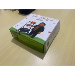 Jasa cetak Box Makanan